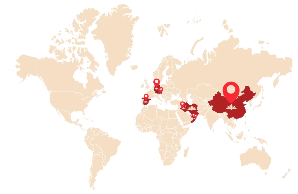 World of taroot 1024x666